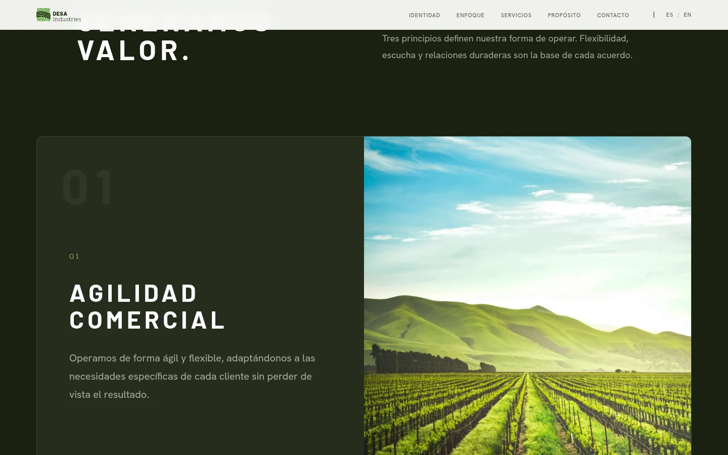 DESA Industries — Productos y servicios